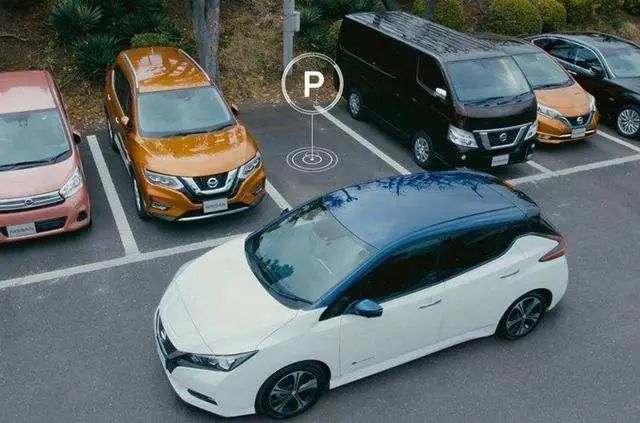 1708567813583484.jpg mceu_19716021311708480362767.jpg