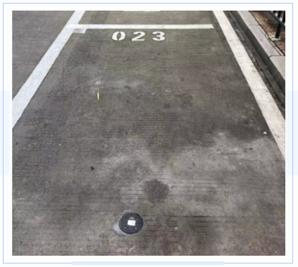 1709190039965380.png 231649054291.png